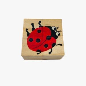 Wooden Picture Block Puzzle Nature Ladybug